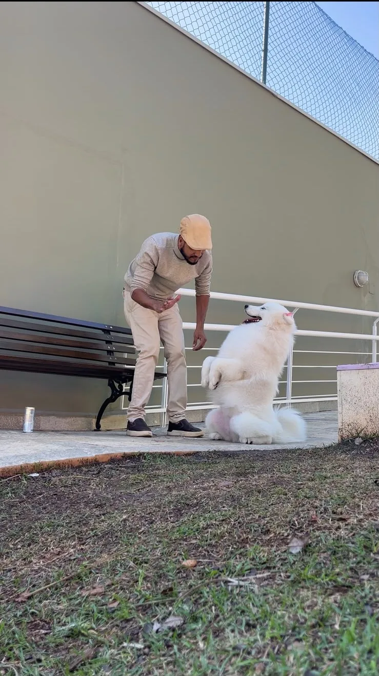 Eduardo conduzindo cão em sessão de adestramento a domicílio